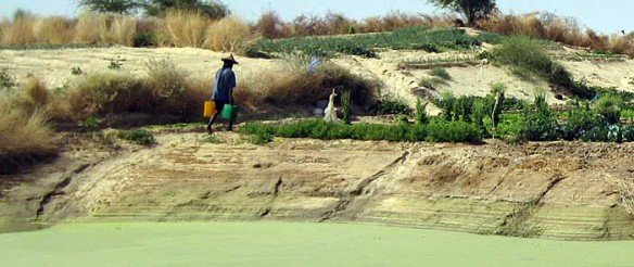 AbdesSalaam-Attar-Timbuktu-acqua