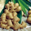 Ginger Essential Oil