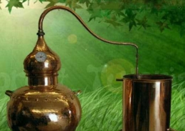 Molecole Terapeutiche