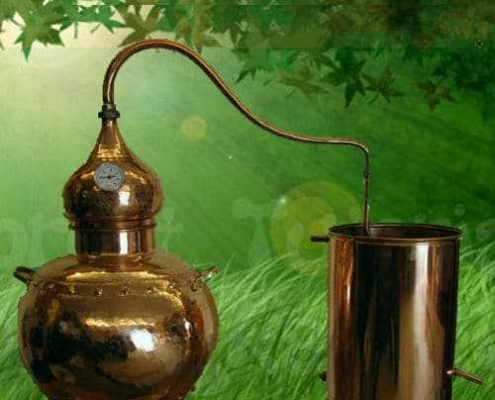 Molecole Terapeutiche