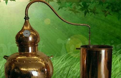 Molecole Terapeutiche