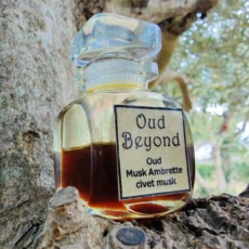 oud beyond 800