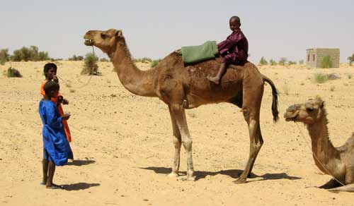 Il piccolo ingegnere del deserto - pozzo