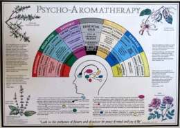 psico aromaterapia poster