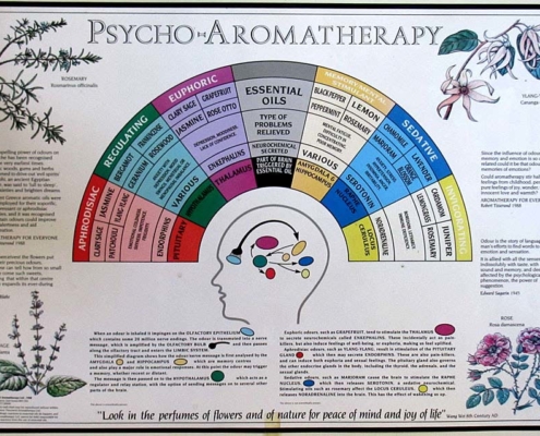 psico aromaterapia poster