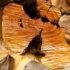 sandalwood cross section