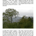 voyage-to-kashmir-70